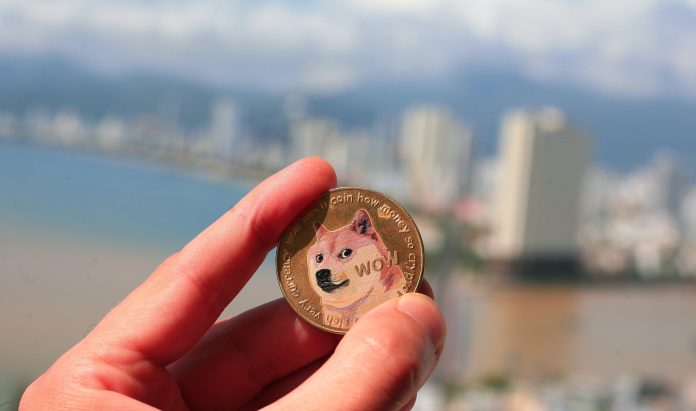 5 Up-and-Coming DOGE Projects that Might be Worth Your Money